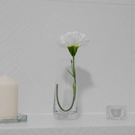 Comfortable Studio With Parking In By Renters Szczecin