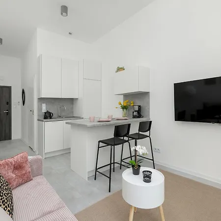 Comfortable Studio With Parking In By Renters * Stettin